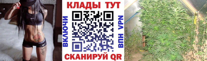 Виды наркоты Ардон ГАШИШ Галлюциногенные грибы МЕФ Бошки Шишки