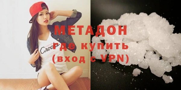 прущие грибы Осинники