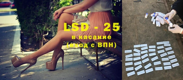 прущие грибы Осинники